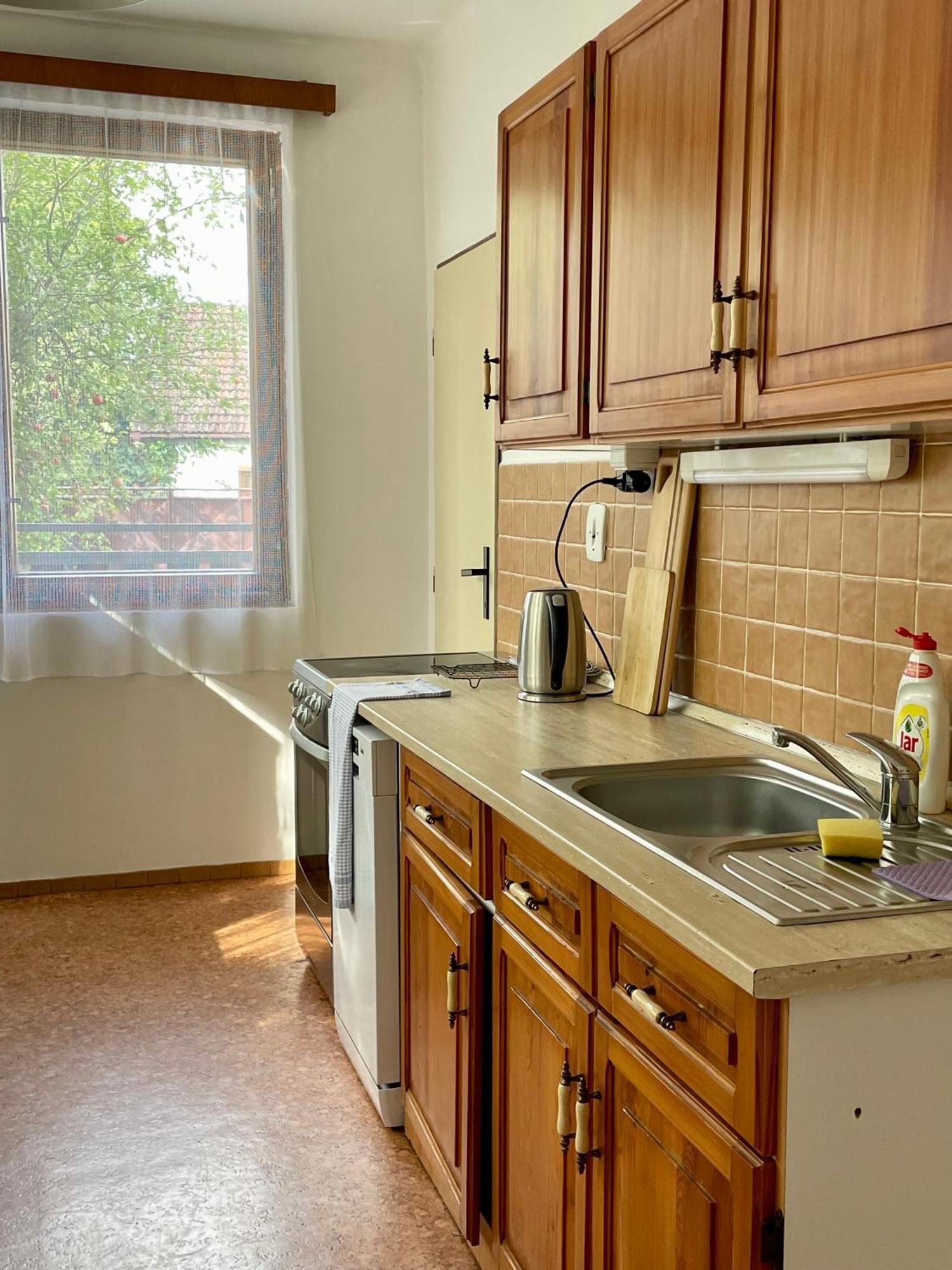 ליסה נאד לאבם Apartment S Terasou Lysa מראה חיצוני תמונה